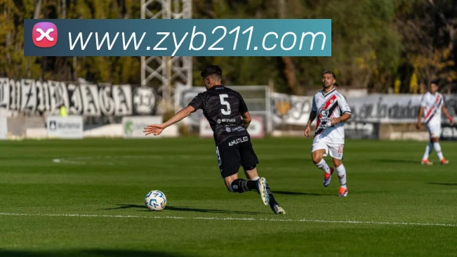 App Interface Preview